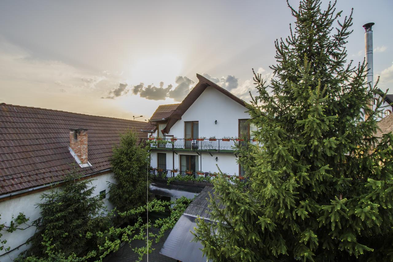 Gasthof Sara Sibiu Bagian luar foto